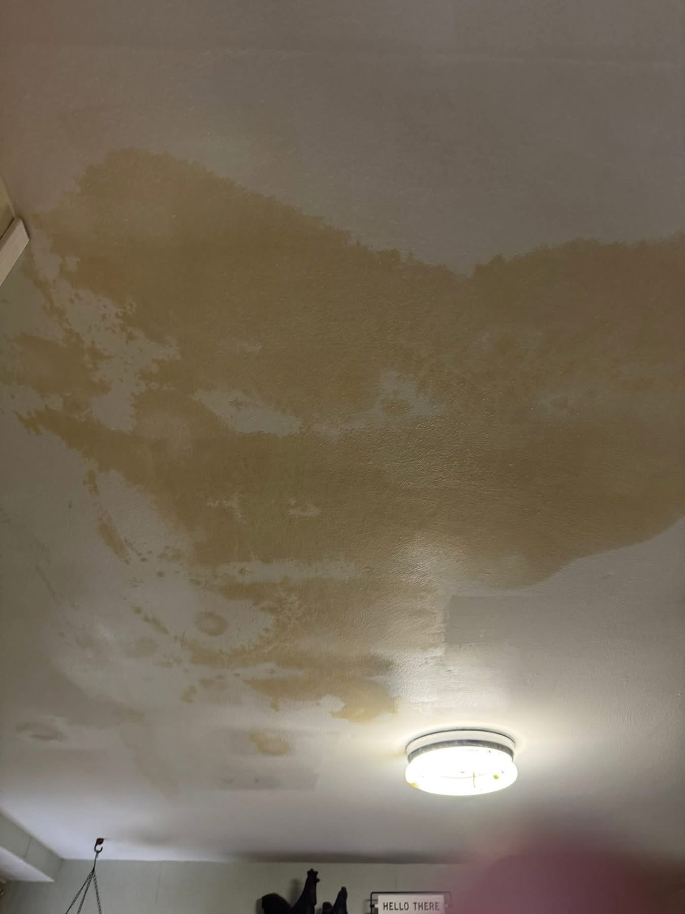 Ceiling Leak Repair