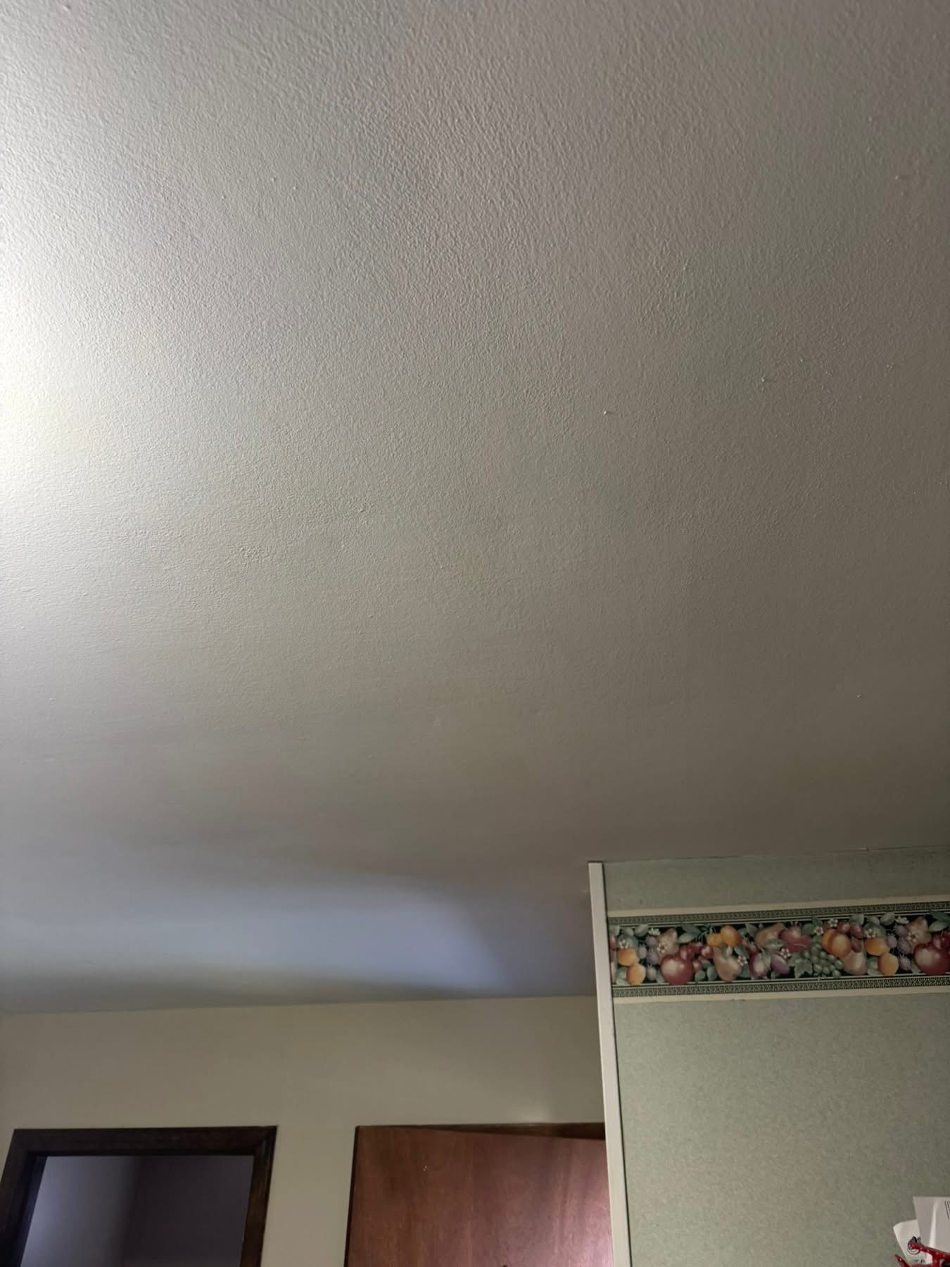 Ceiling Leak Repair